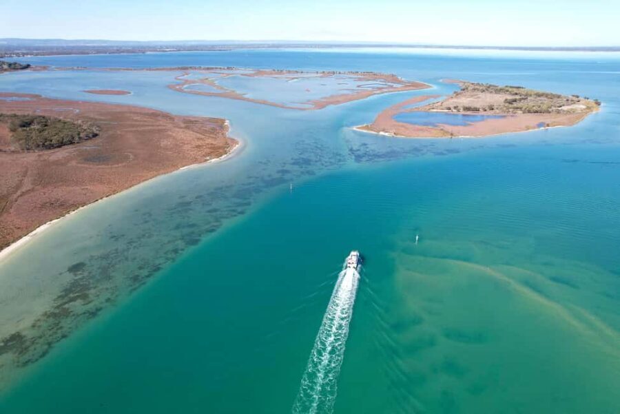 Mandurah: Dolphin & Giant Sightseeing Cruise - Why This Cruise Offers Great Value