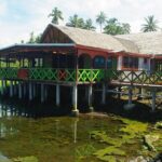 Mangrove to Lagoon Kayak and Paddleboard Adventure - Introduction: Why This Tour Stands Out
