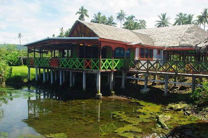 Mangrove to Lagoon Kayak and Paddleboard Adventure - Introduction: Why This Tour Stands Out