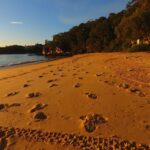 Manly: 3-Beach Kayak Tour with Lunch - Final Thoughts: Is This Tour Right for You?