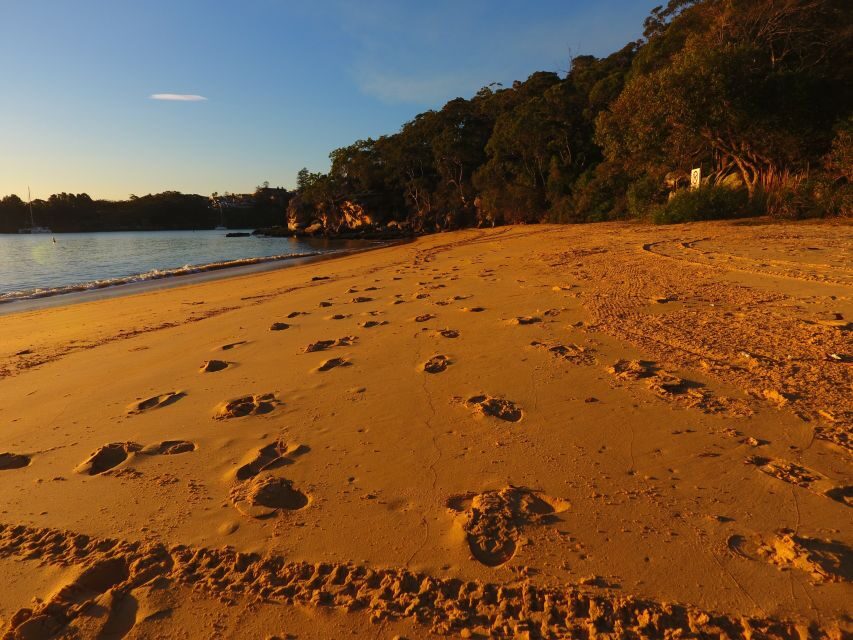 Manly: 3-Beach Kayak Tour with Lunch - Final Thoughts: Is This Tour Right for You?