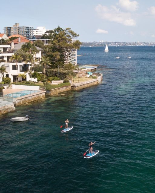 Manly Stand Up Paddle Board Hire - What to Expect from Your Paddleboarding Adventure