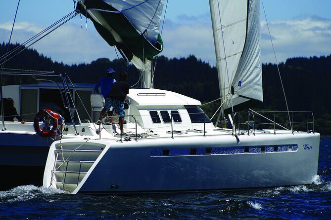 Maori Rock Carvings - Taupo Sailing Adventures -Tiua - Practical Details and What to Expect
