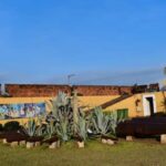 Maputo DowntownWalking Tour - Authentic Experiences and Traveler Insights