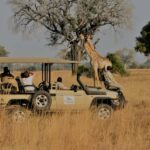 Maputo Reserve National Park: Epic One-Day Safari - The Experience from Reviews: What Travelers Say