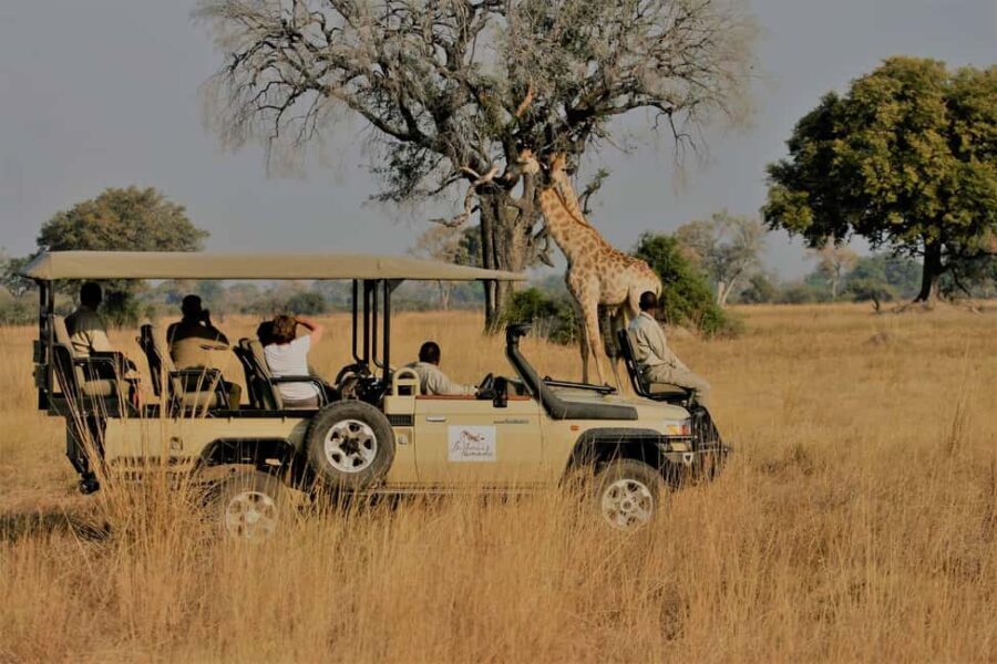 Maputo Reserve National Park: Epic One-Day Safari - The Experience from Reviews: What Travelers Say