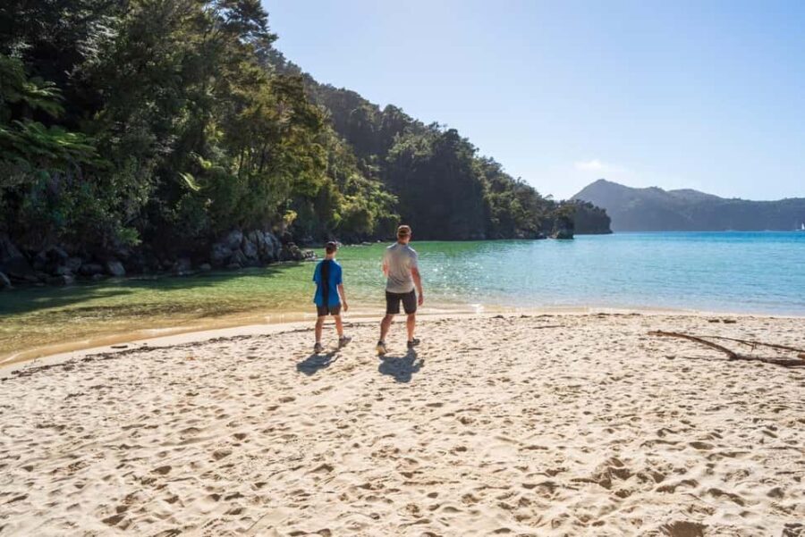 Marahau: Abel Tasman Kayaks Kayak and Walk - The Itinerary: What to Expect on Your Day