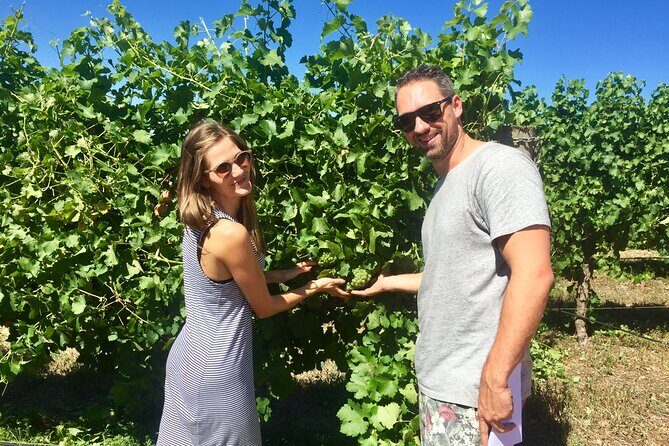 Margaret River Beer & Wine Adventure (departs Margaret River) - Who Will Love This Tour?
