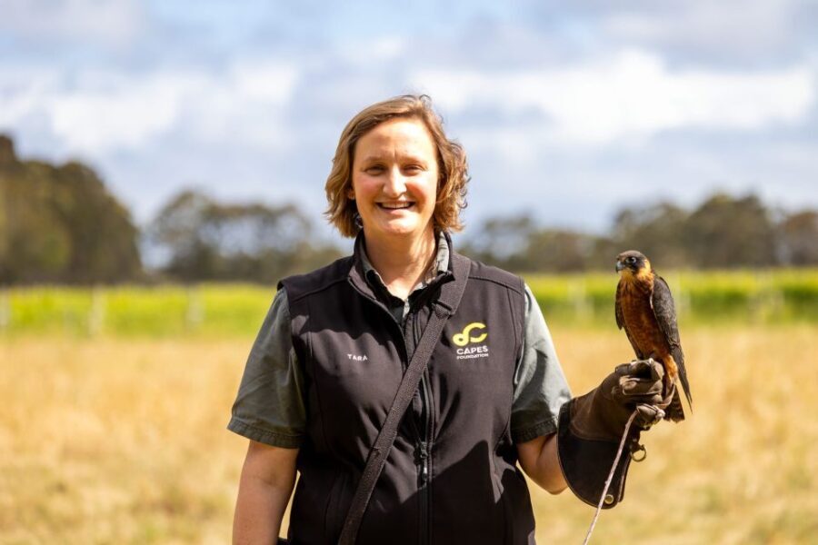 Margaret River: Birds of Prey Encounter and Forest Walk - Who Is This Tour Best For?