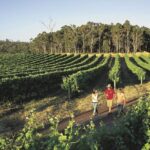 Margaret River, Caves, Wine and Cape Leeuwin Lighthouse Tour from Perth - The Practicalities: What’s Included and What Not