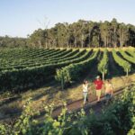 Margaret River, Chocolate, Wine & Coast Day Trip from Perth - Introduction: What to Expect from This Day Trip
