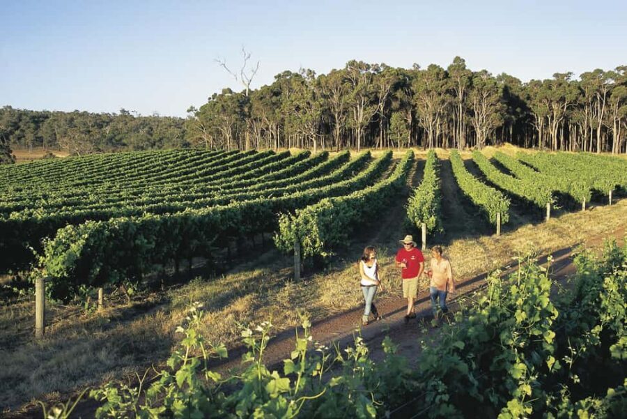Margaret River, Chocolate, Wine & Coast Day Trip from Perth - Introduction: What to Expect from This Day Trip