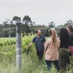 Margaret River Full-Day Wine, Local Produce & Nature Tour - Detailed Breakdown of the Tour Experience