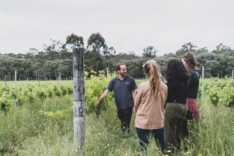Margaret River Full-Day Wine, Local Produce & Nature Tour - Detailed Breakdown of the Tour Experience