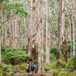 Margaret River Getaway 2 Day Tour - Final Thoughts