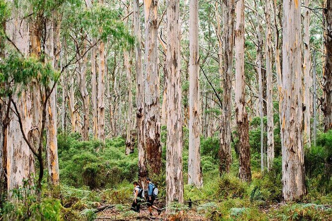 Margaret River Getaway 2 Day Tour - Final Thoughts