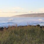 Margaret River Indulge and Discover Day Tour - Final Thoughts
