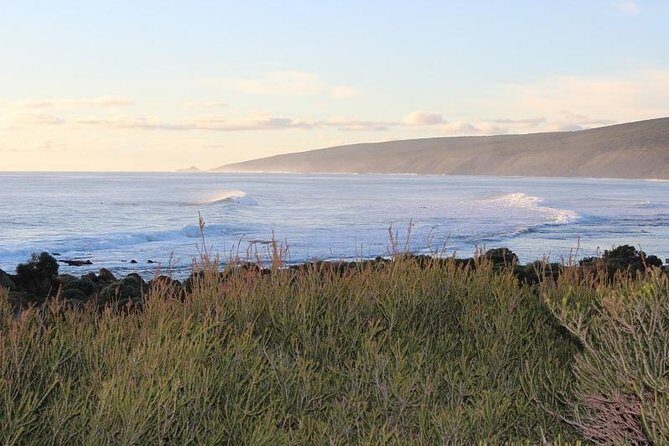 Margaret River Indulge and Discover Day Tour - Final Thoughts