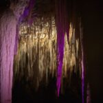 Margaret River: Lake Cave Fully-Guided Tour - The Value of the Tour: Price and Experience