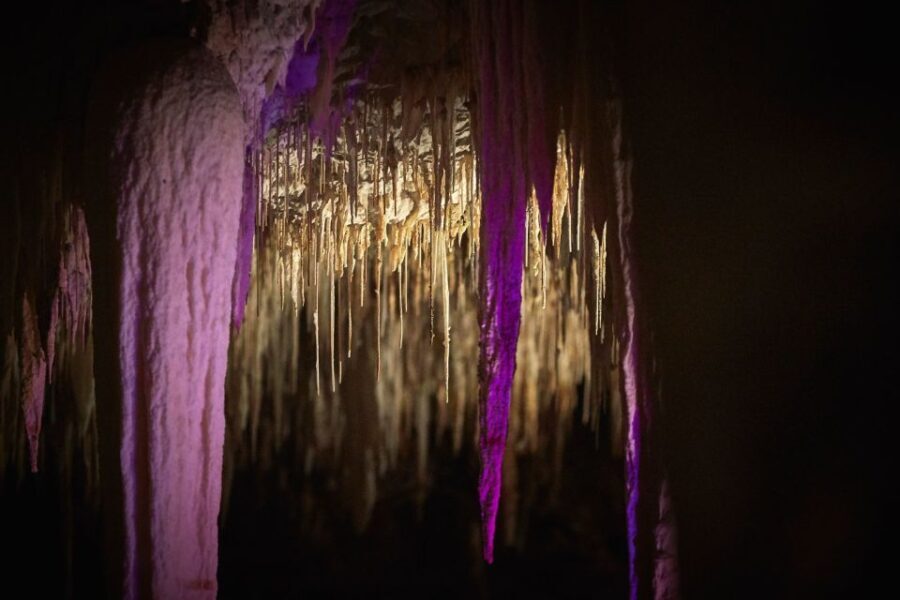 Margaret River: Lake Cave Fully-Guided Tour - The Value of the Tour: Price and Experience