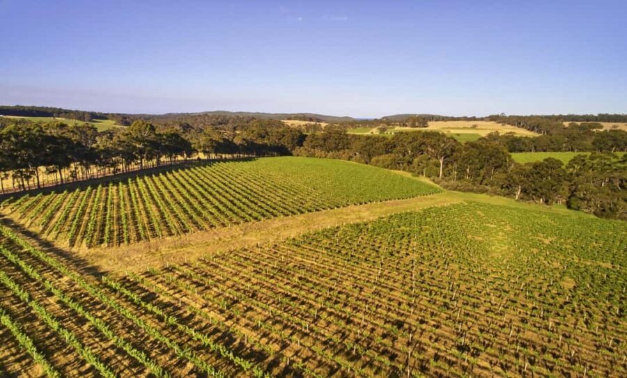Margaret River: Leeuwin Estate Winery Art and Wine Tasting - The Guided Wine Tasting — A Harmonious Pairing