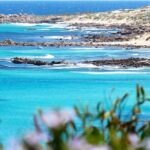 Margaret River Wine and Sights Discovery Tour from Busselton or Dunsborough - Why This Tour Is a Great Choice