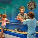 Marine Discovery Centre - Highlights and Unique Features