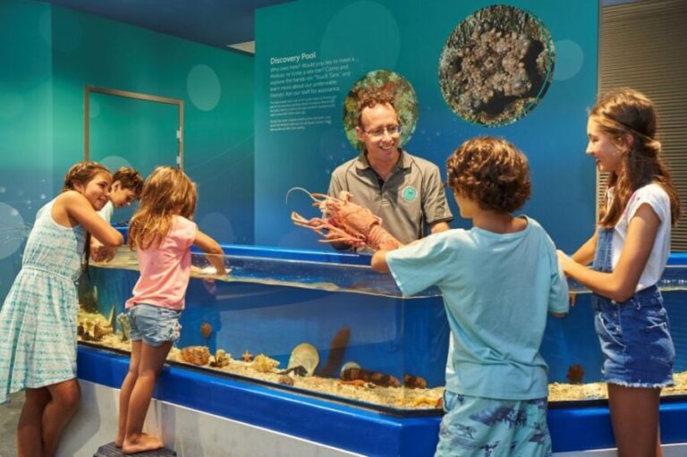 Marine Discovery Centre - Highlights and Unique Features