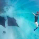 Marine Eco Safari - Swim with Manta Rays - The Value of This Tour