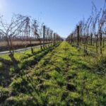 Marlborough: Blenheim Half day Wine Tour; Wine Only - Why This Tour Stands Out