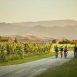 Marlborough: Full-Day Self-Guided Biking Wine Tour - The Journey: What to Expect