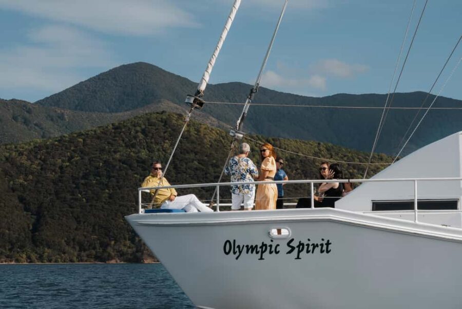 Marlborough: Full-Day Wine and Seafood Tour with Cruise - Who Is This Tour Best For?