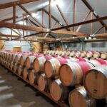 Marlborough: Full-Day Wine Tour - The Itinerary: What You Can Expect
