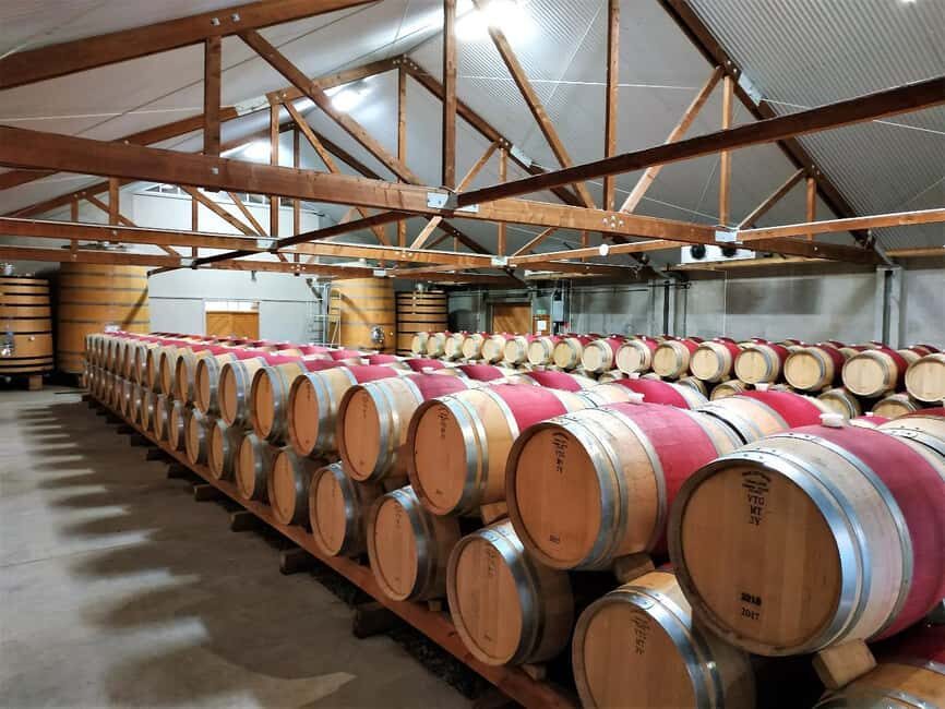 Marlborough: Full-Day Wine Tour - The Itinerary: What You Can Expect