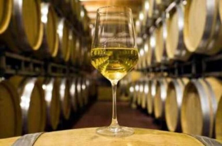 Marlborough Full Day Wine Tour - Transportation and Group Size