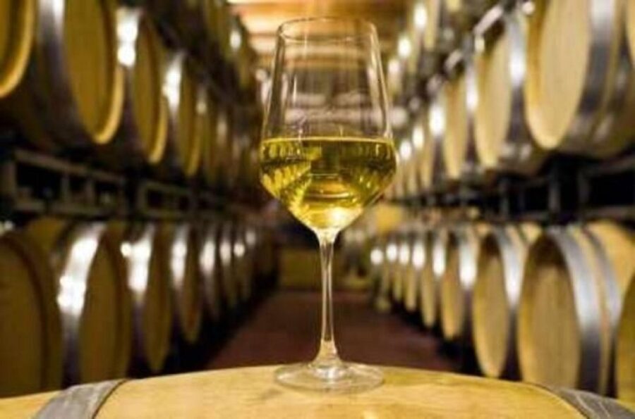 Marlborough Full Day Wine Tour - Transportation and Group Size