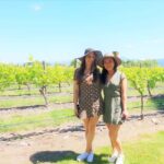 Marlborough: Full Day "Winemaker's Tour" - Why This Tour Offers Great Value