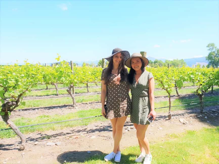 Marlborough: Full Day "Winemaker's Tour" - Why This Tour Offers Great Value
