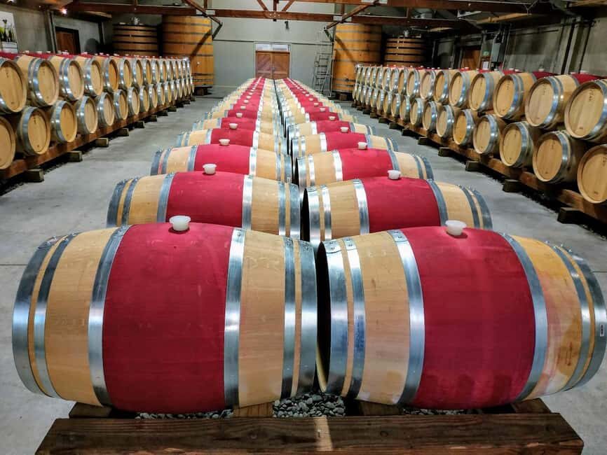 Marlborough: Half Day Blenheim Wine Tour - Eating & Sipping - The Itinerary in Detail