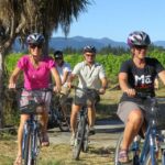 Marlborough: Half Guided and Half Self-Guided Bike Wine Tour - A Deep Dive into the Marlborough Bike Wine Tour Experience