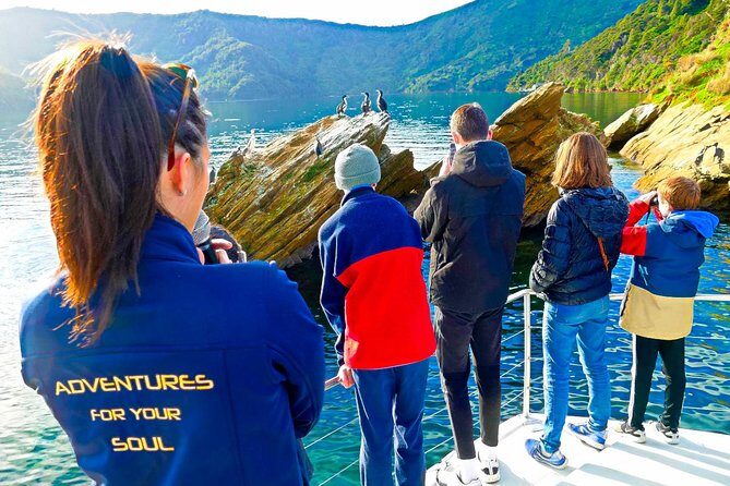 Marlborough Sounds Ultimate Cruise - Final Thoughts
