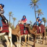 Marrakech : 1-Hour Camel Ride Through the Palm Grove - The Pros and Cons
