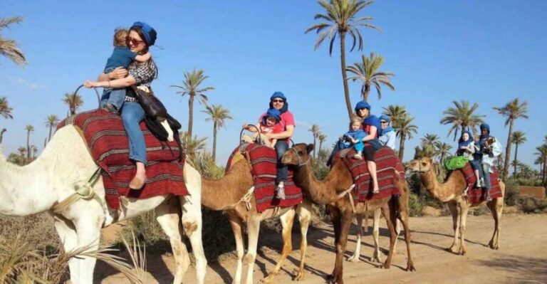Marrakech : 1-Hour Camel Ride Through the Palm Grove - The Pros and Cons