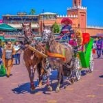 Marrakech: 1-Hour Traditional Horse-Drawn Carriage Tour - Authentic Experiences Highlighted in Reviews