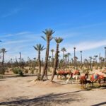 Marrakech: 2-Hour Quad Bike & Camel Ride in Palmeraie - The Value and Practical Details