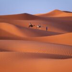 Marrakech: 3-Day Desert Tour to Merzouga Dunes & Camel Trek - Practical Details and What You Need to Know