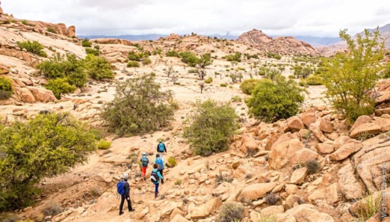 Marrakech: 5 Day Trek Atlas Mountains and Berber Village - What’s Included and What to Expect