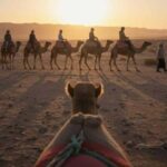Marrakech Adventure: Paragliding, Camel Ride & Breakfast - The Sum Up