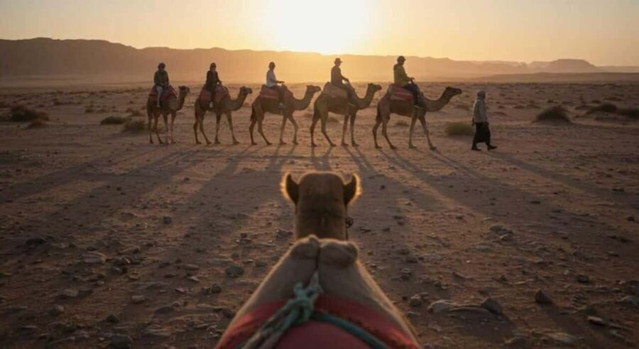 Marrakech Adventure: Paragliding, Camel Ride & Breakfast - The Sum Up