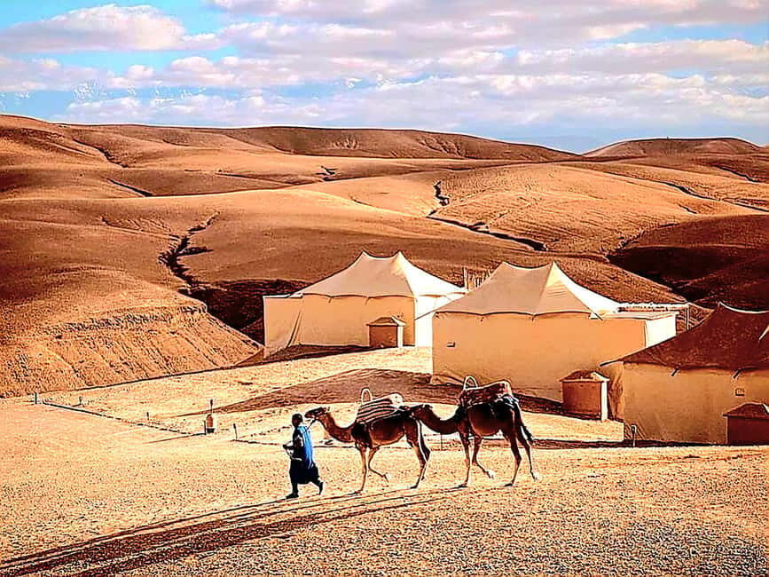 Marrakech Adventure: Quad Biking Through Agafay Desert - What We Loved About the Tour